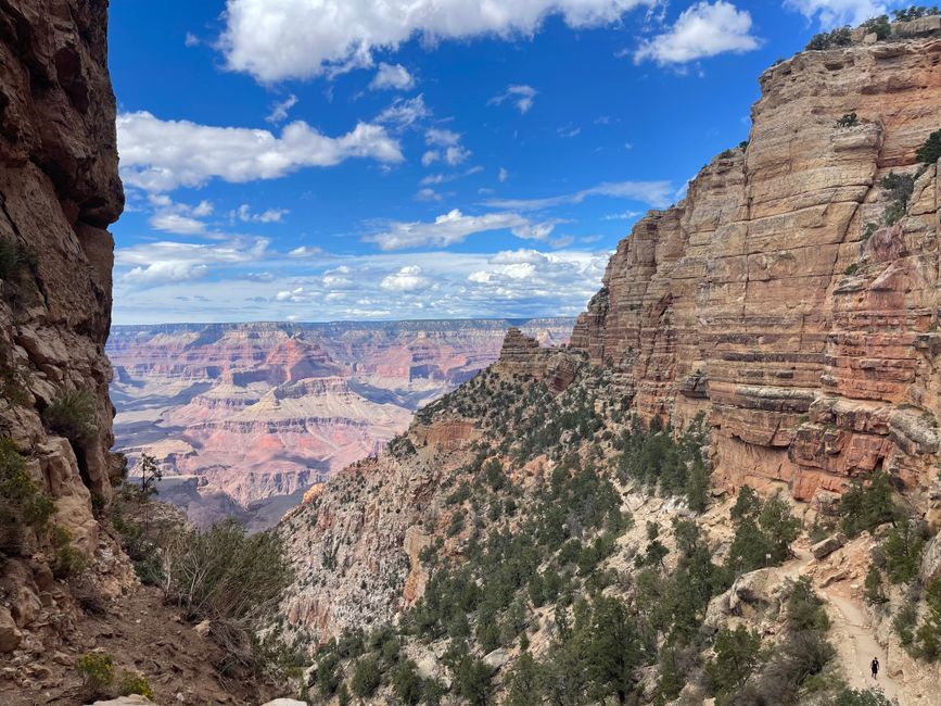 Trilha guiada no Grand Canyon