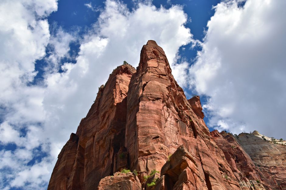 Escalada guiada em Zion National Park