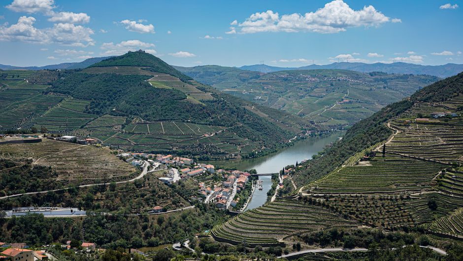 Degustação de Vinhos no Vale do Douro