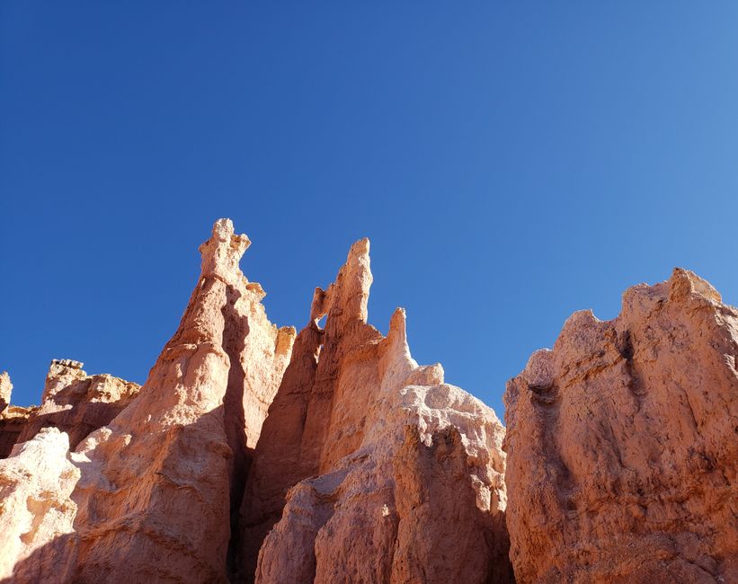 Safari fotográfico no Bryce Canyon